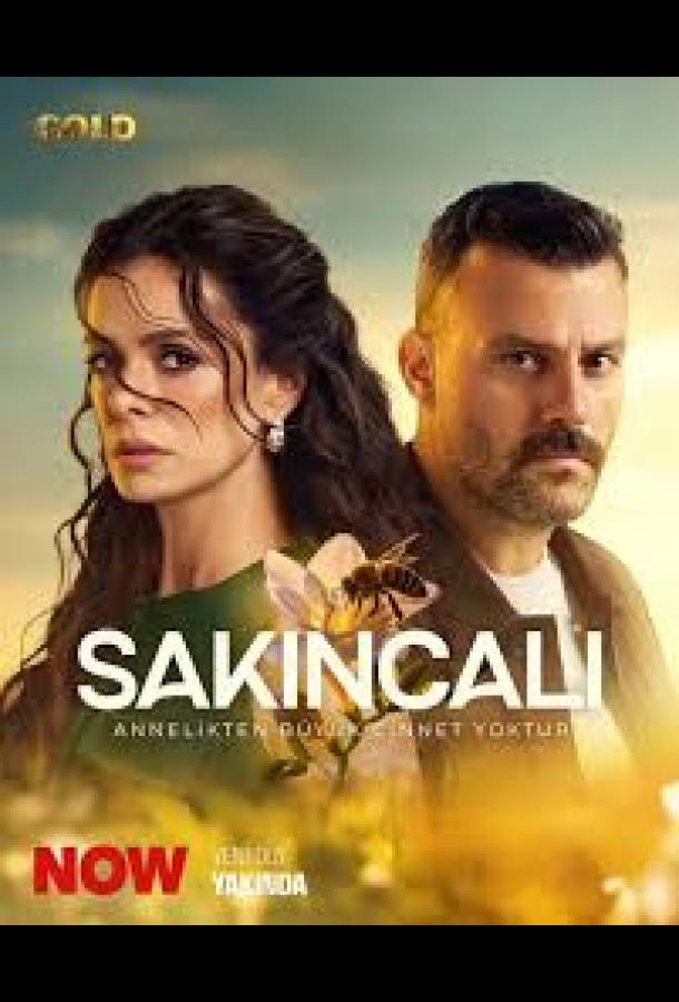 Опасная / Подозрительный (сериал)