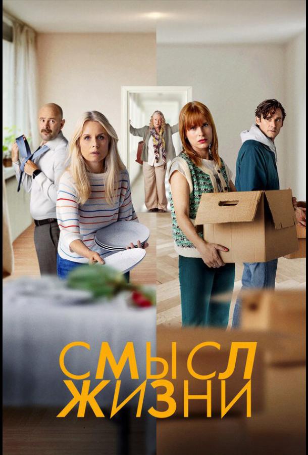Смысл жизни (сериал)