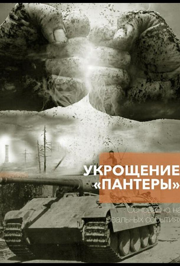 Укрощение «Пантеры» (сериал)