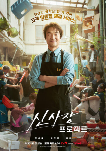 Проект мистера Шина (сериал)