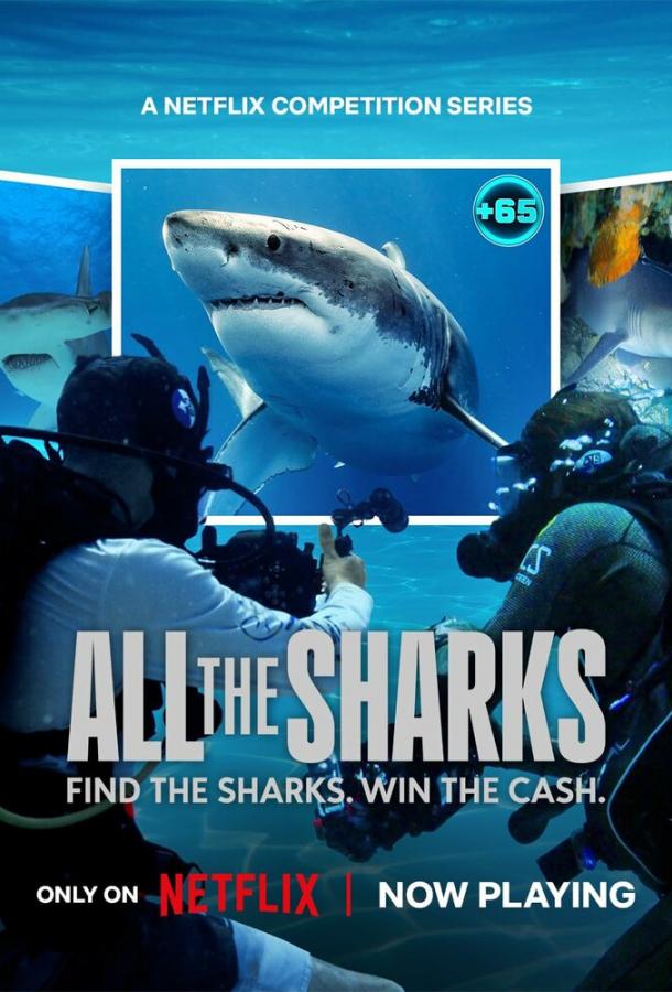 All the Sharks