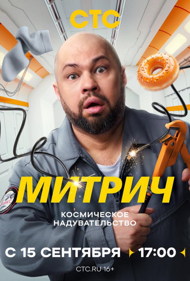 Митрич (сериал)