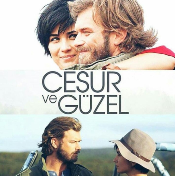 Отважный и красавица (сериал 2016 – 2017)