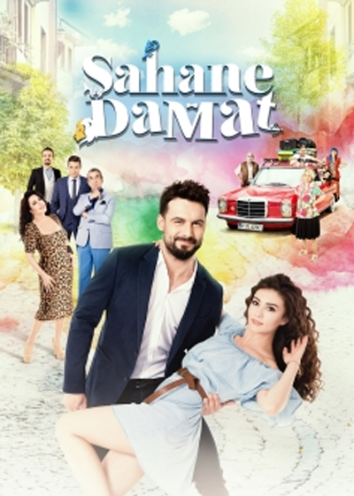 Замечательный зять (мини-сериал 2016 – 2025)