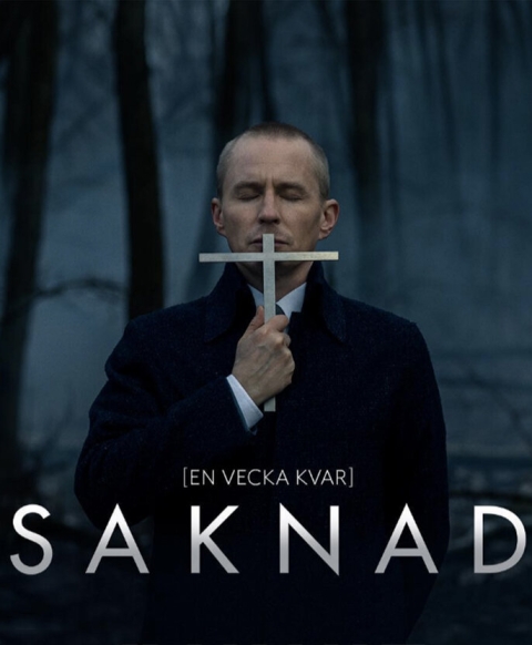 Пропавшая (сериал)