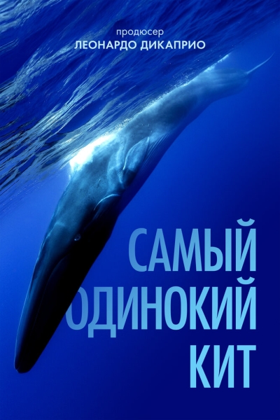 The Loneliest Whale: The Search for 52