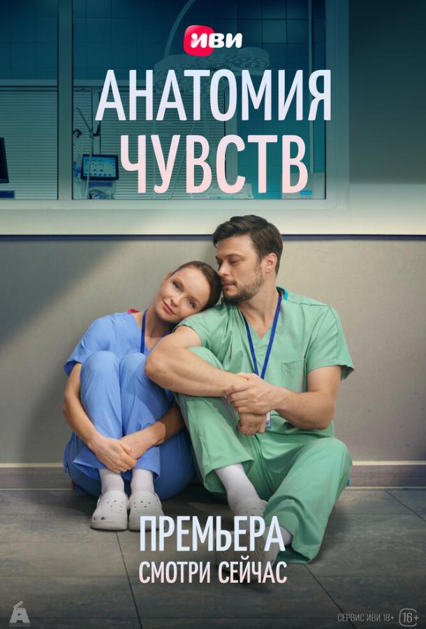 Анатомия чувств (сериал)