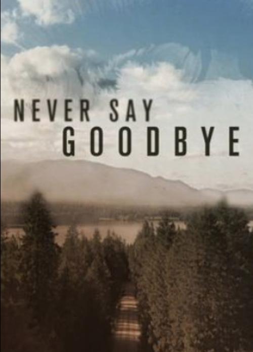 Never Say Goodbye (сериал)