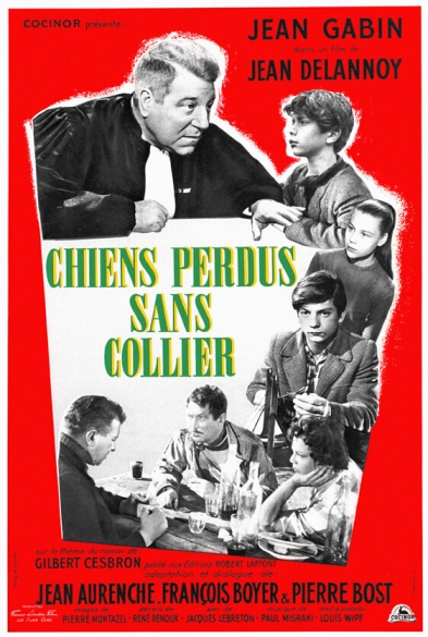 Chiens perdus sans collier