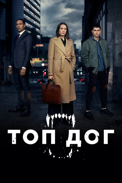 Топ дог (сериал)