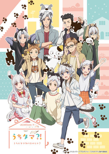Uchi Tama?! Uchi no Tama Shirimasenka?