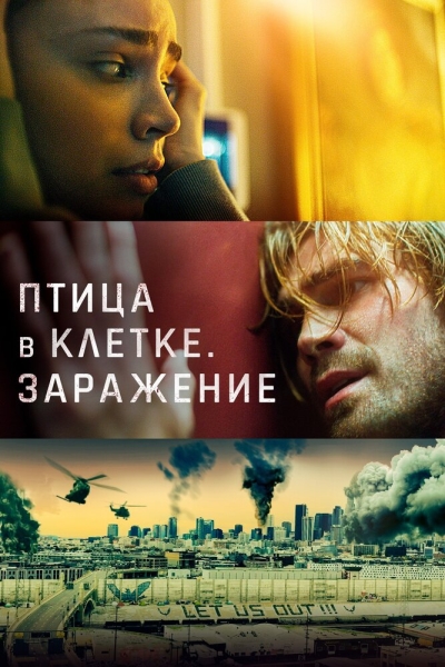 Пташка у клітці