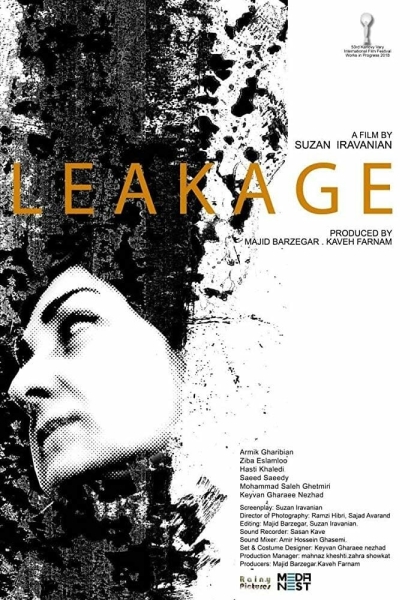 Leakage