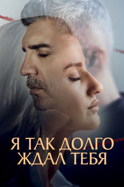 Я так долго тебя ждал (сериал)