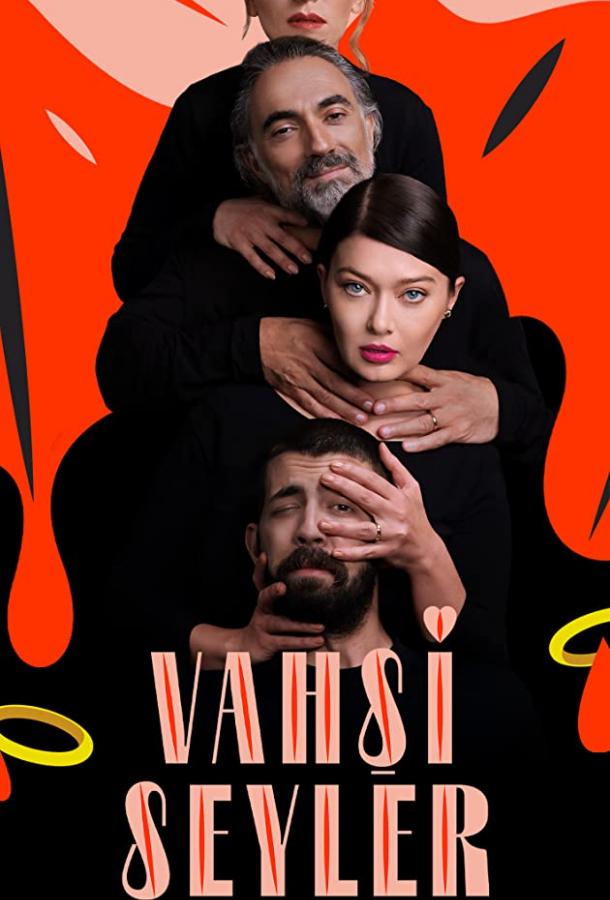 Дикие штучки (сериал)