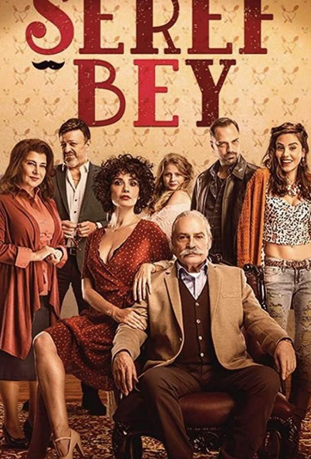 Уважаемый господин (сериал)