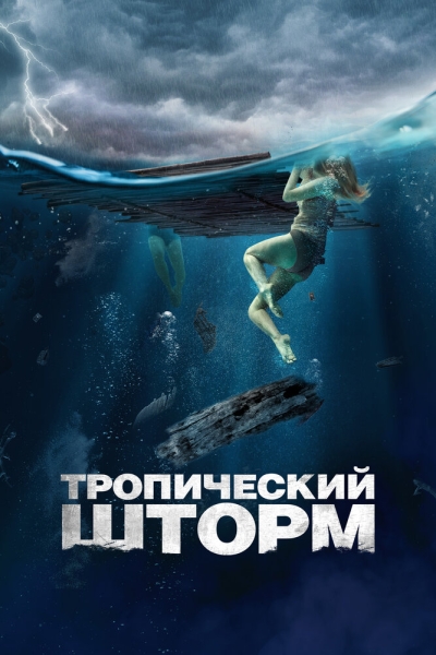 The Requin