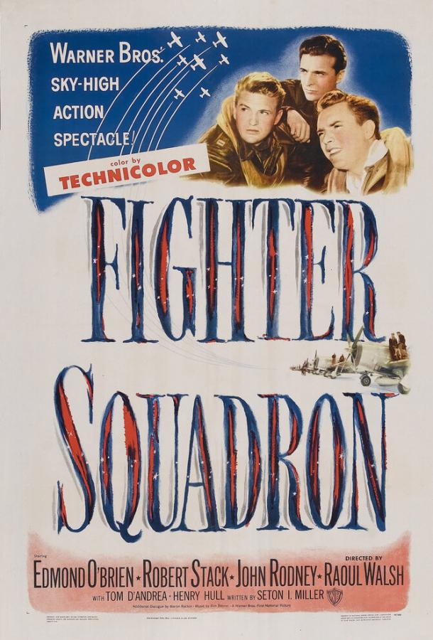 Fighter Squadron