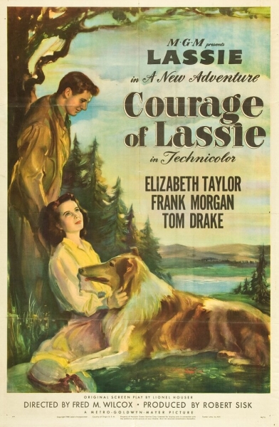 Courage of Lassie