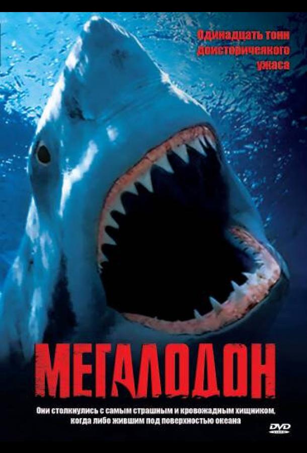 Megalodon