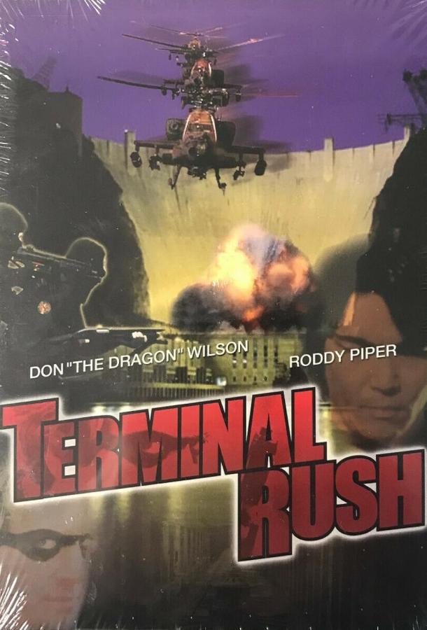 Terminal Rush