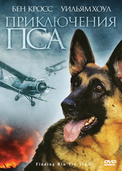 Finding Rin Tin Tin