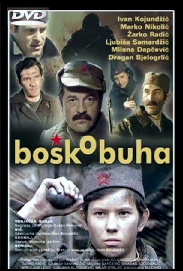 Bosko Buha