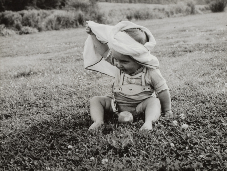 Baby in de boom