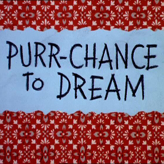 Purr-Chance to Dream