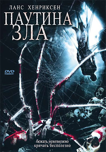 In the Spider's Web