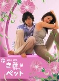 Kimi wa petto