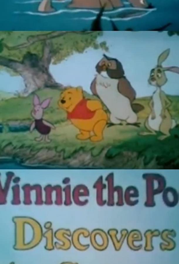 Winnie the Pooh Discovers the Seasons