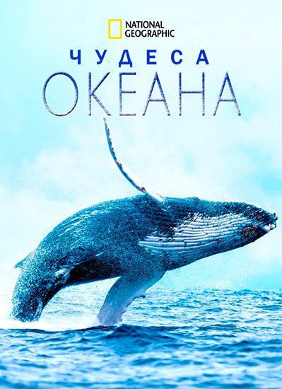 Чудеса океана (сериал)