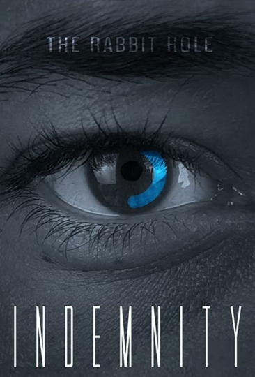 Индемнити (сериал)
