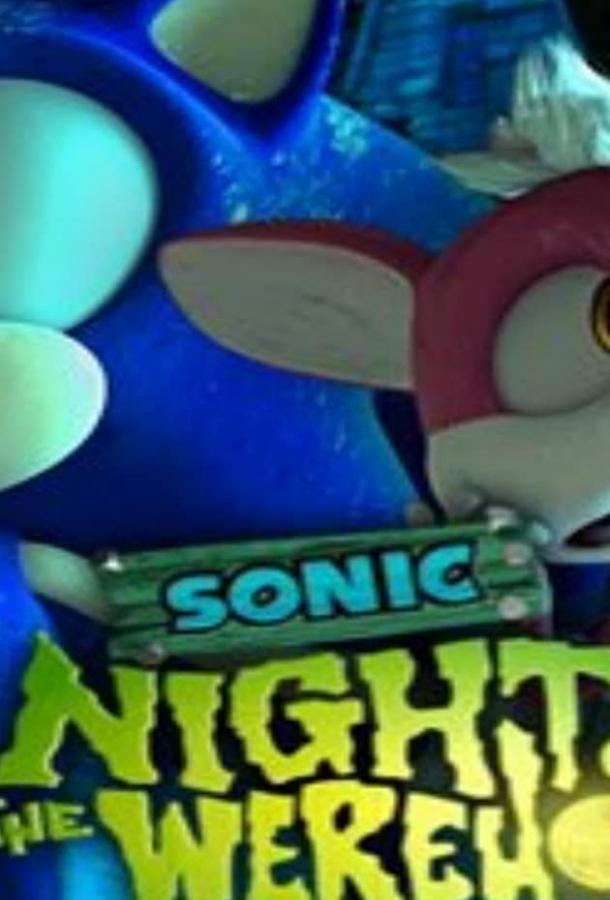 Sonic: Night of the Werehog