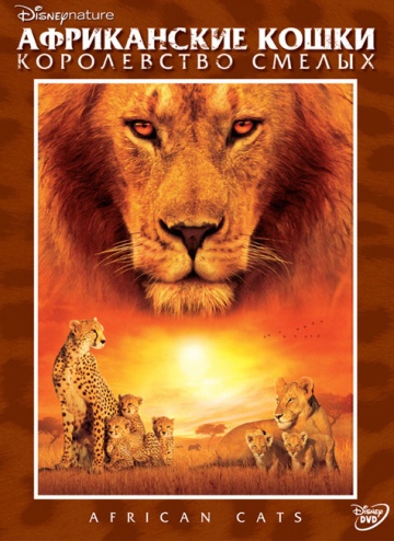 African Cats