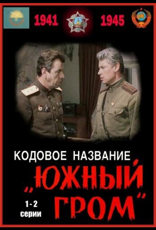 Кодовое название «Южный гром» (сериал)