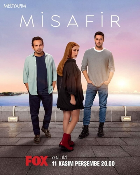 Гостья (сериал)