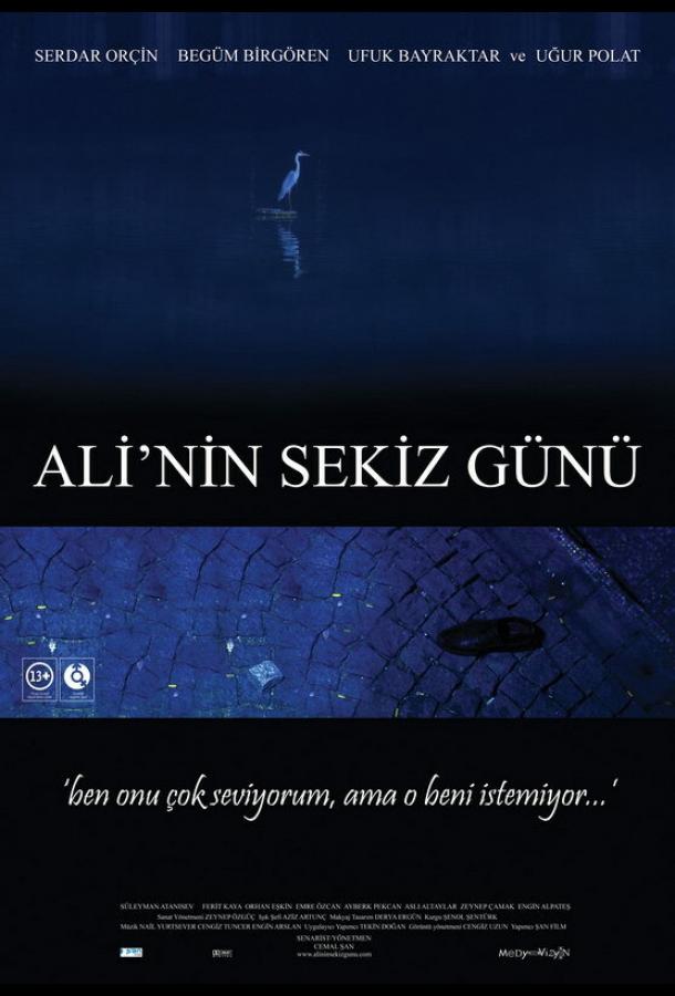 Ali'nin sekiz günü