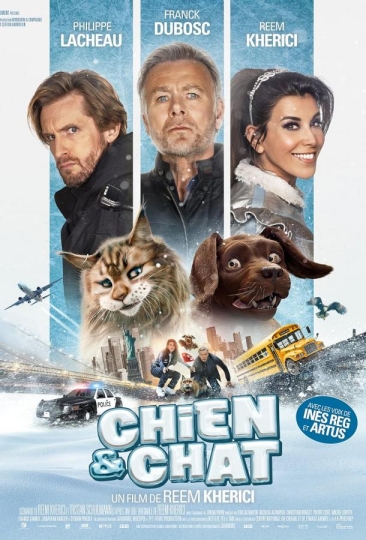 Chien et chat