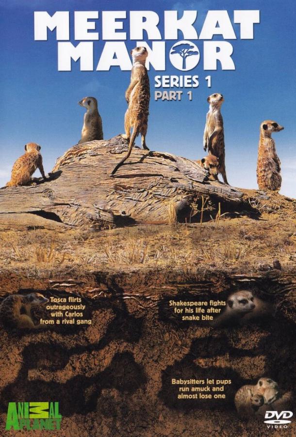 Meerkat Manor
