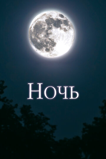The Night