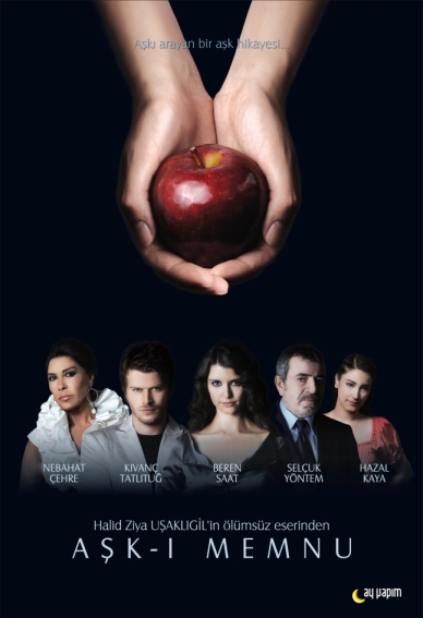 Запретная любовь (сериал 2008 – 2010)