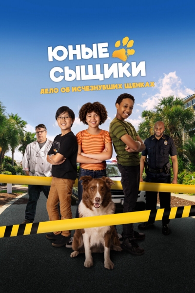 Pet Investigators