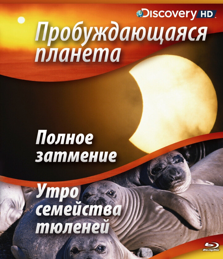 Sunrise Earth