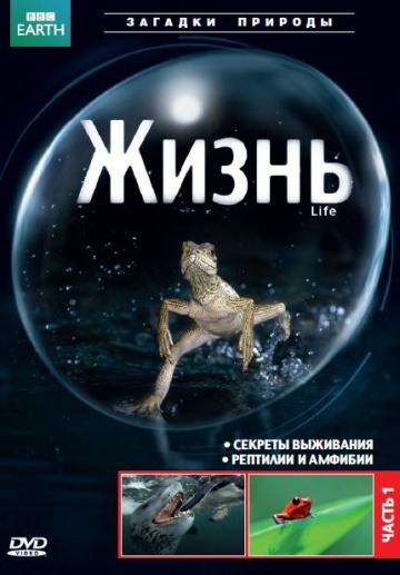 BBC: Жизнь (мини-сериал)