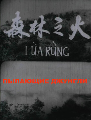 Lửa rừng