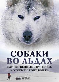 Ice Dogs: The Only Companions Worth Having