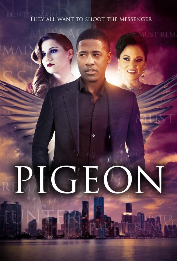 Pigeon
