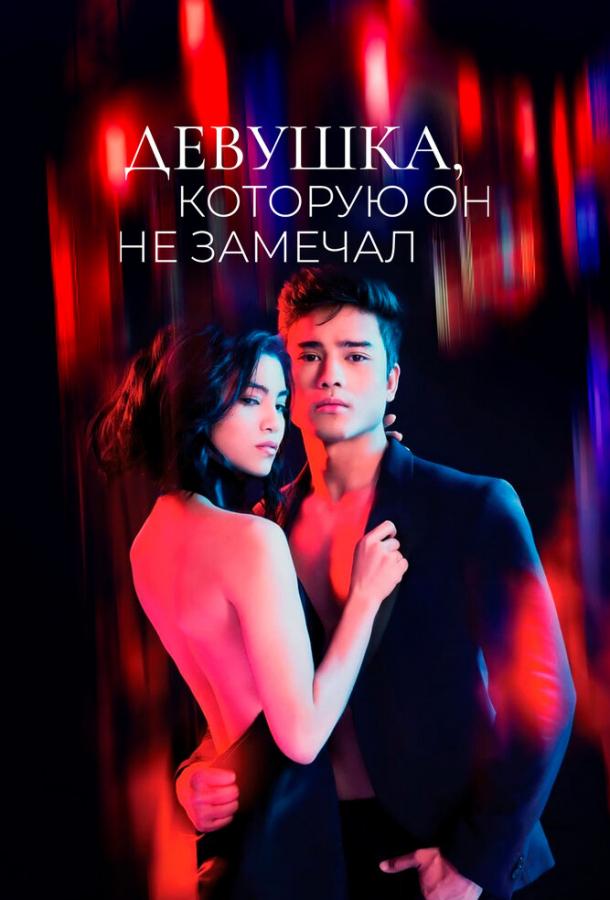 Девушка, которую он не замечал (сериал)